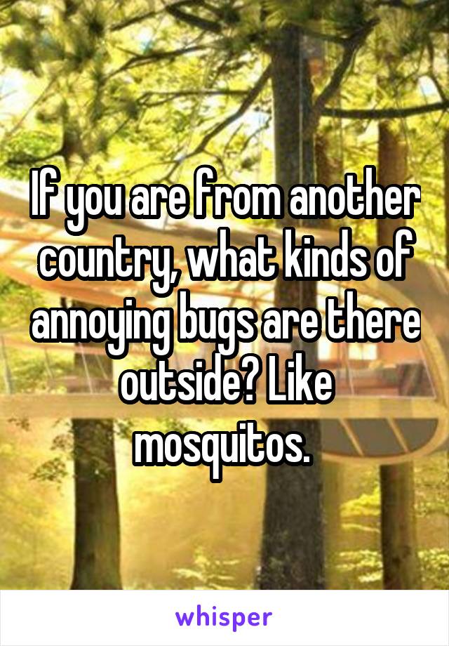 If you are from another country, what kinds of annoying bugs are there outside? Like mosquitos. 