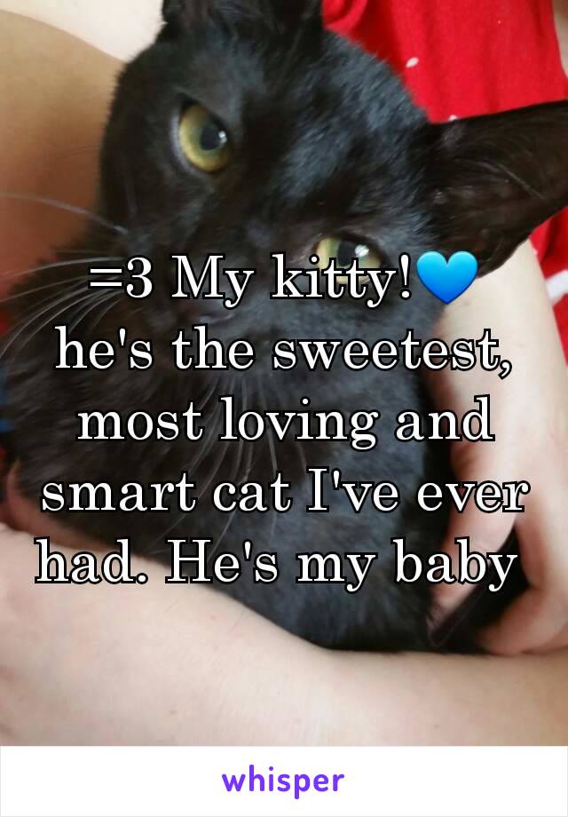 =3 My kitty!💙 he's the sweetest, most loving and smart cat I've ever had. He's my baby 