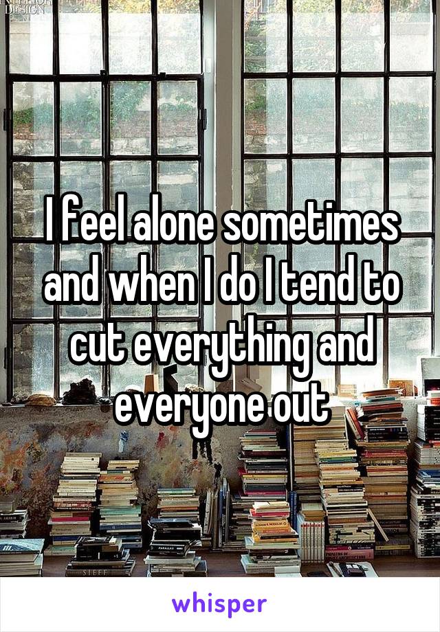 I feel alone sometimes and when I do I tend to cut everything and everyone out