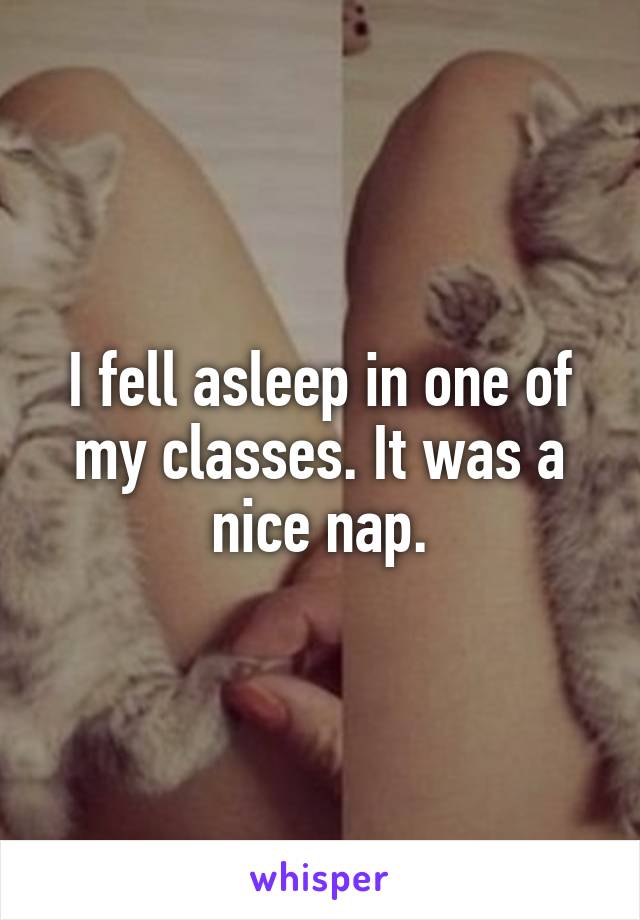 I fell asleep in one of my classes. It was a nice nap.