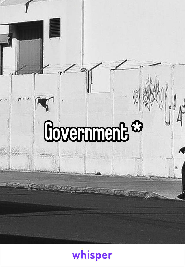 Government *