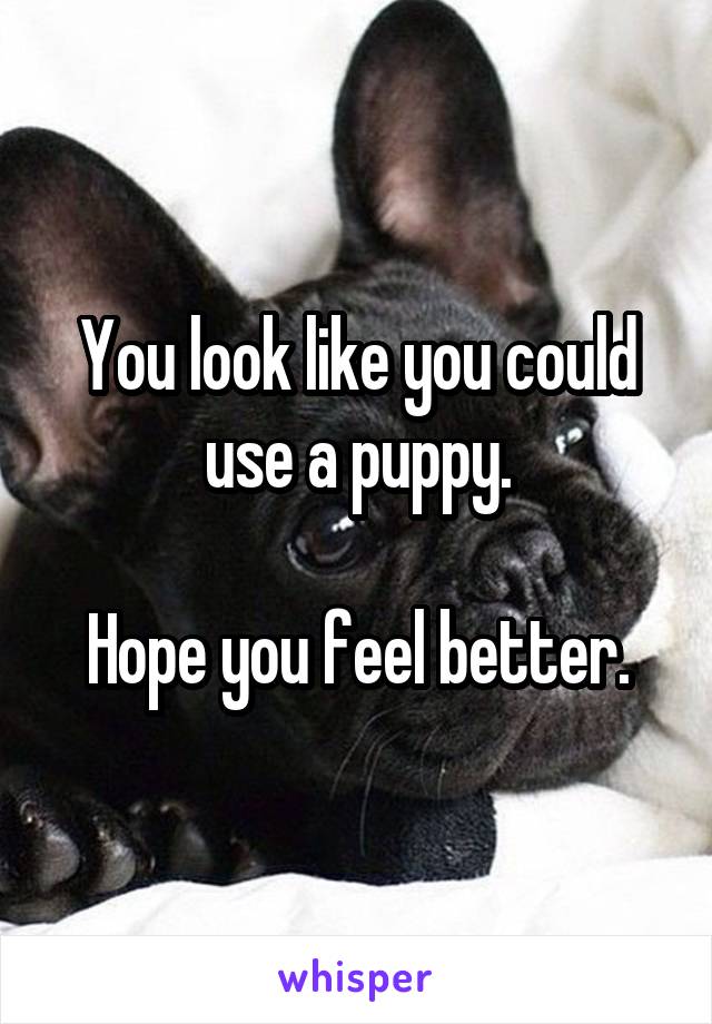 You look like you could use a puppy.

Hope you feel better.