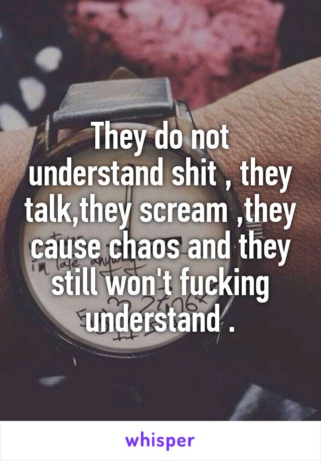 They do not understand shit , they talk,they scream ,they cause chaos and they still won't fucking understand .