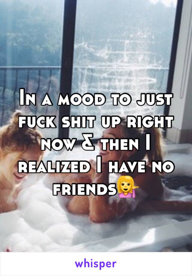 In a mood to just fuck shit up right now & then I realized I have no friends💁