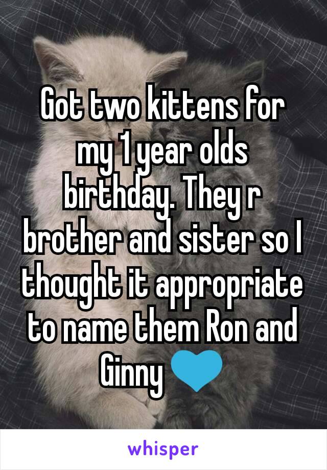 Got two kittens for my 1 year olds birthday. They r brother and sister so I thought it appropriate to name them Ron and Ginny 💙