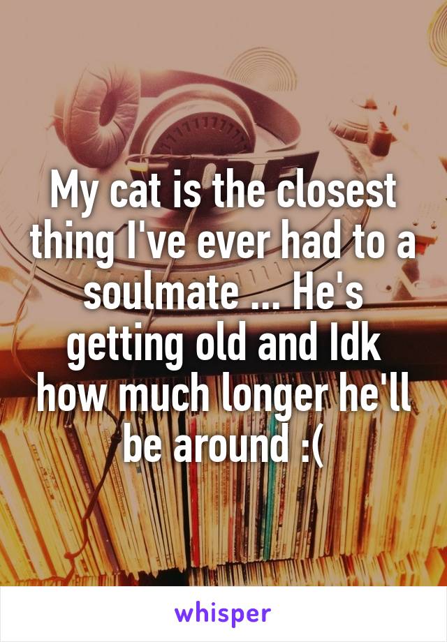 My cat is the closest thing I've ever had to a soulmate ... He's getting old and Idk how much longer he'll be around :(