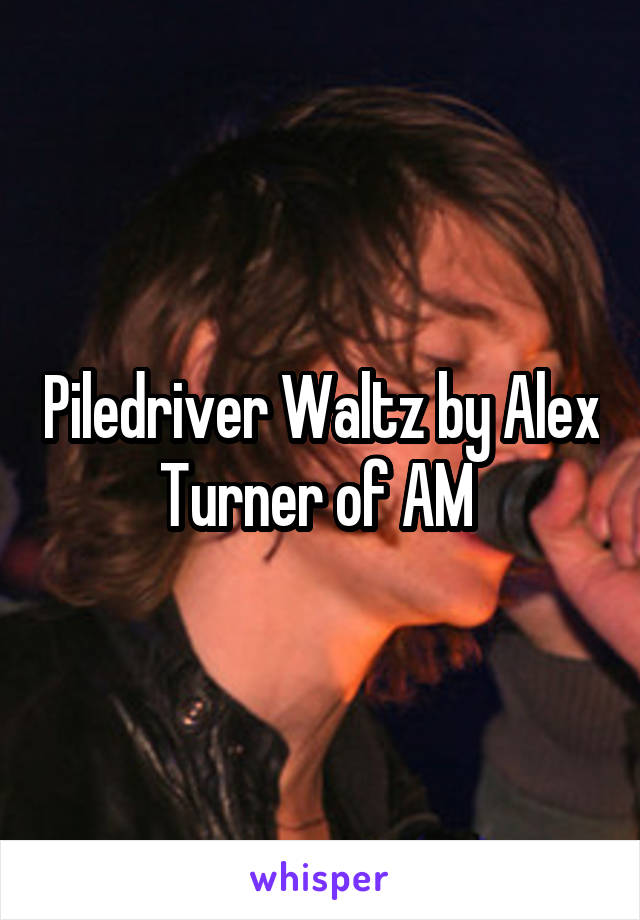 Piledriver Waltz by Alex Turner of AM 