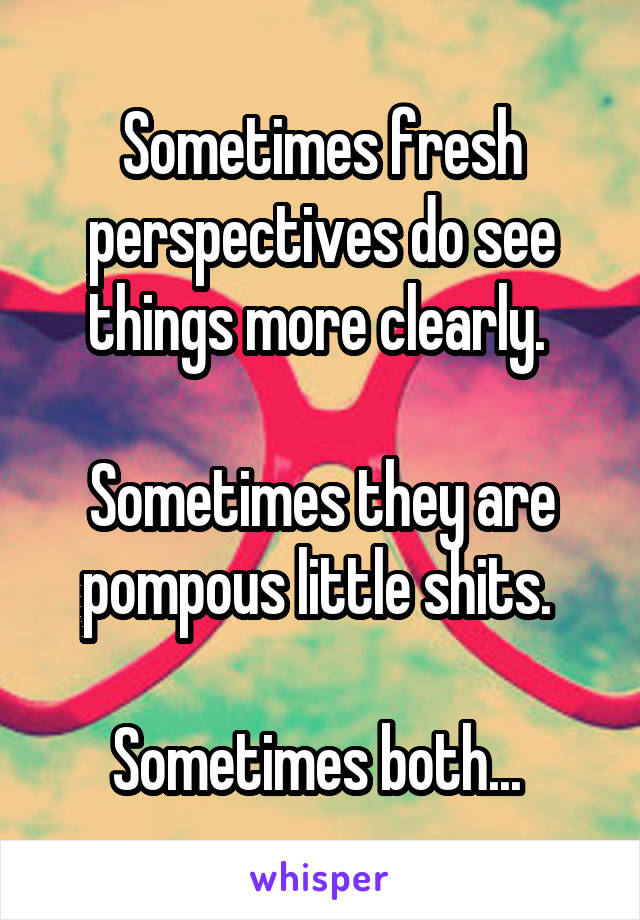 Sometimes fresh perspectives do see things more clearly. 

Sometimes they are pompous little shits. 

Sometimes both... 