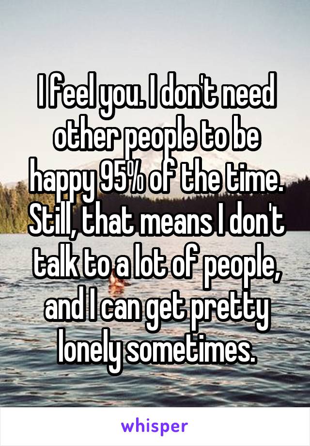 I feel you. I don't need other people to be happy 95% of the time. Still, that means I don't talk to a lot of people, and I can get pretty lonely sometimes.