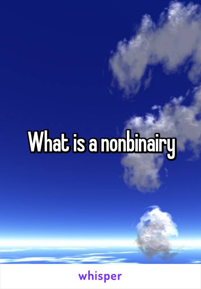 What is a nonbinairy