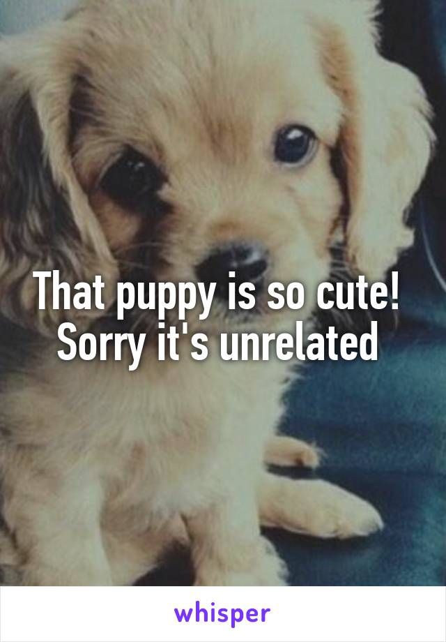 That puppy is so cute! 
Sorry it's unrelated 