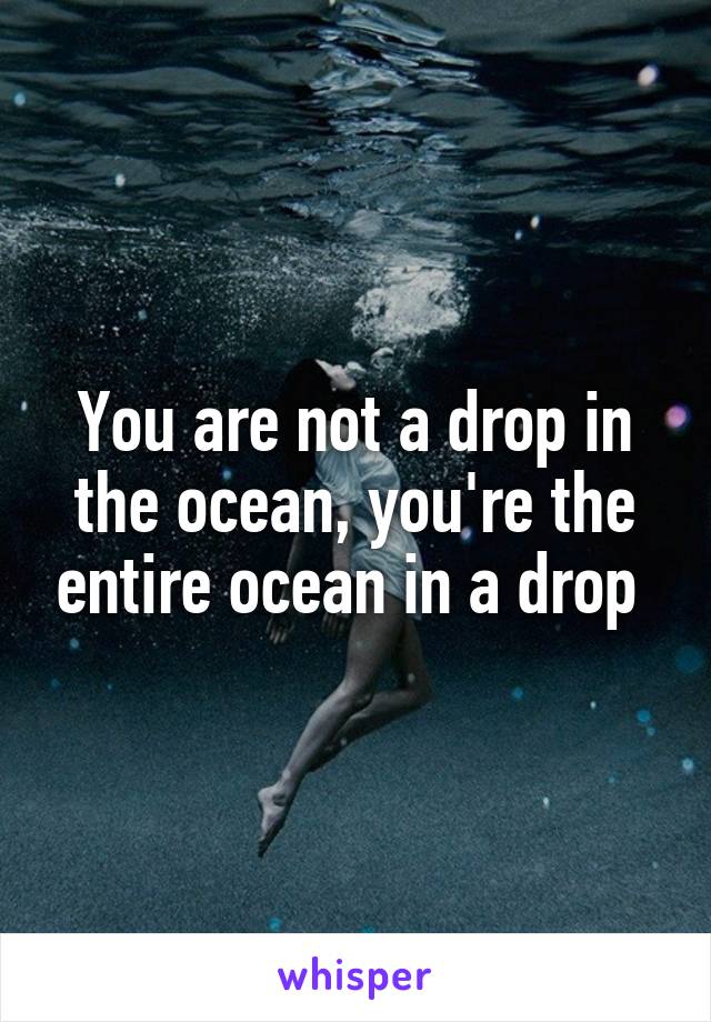 You are not a drop in the ocean, you're the entire ocean in a drop 