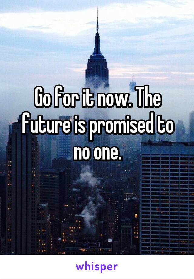 Go for it now. The future is promised to no one.
