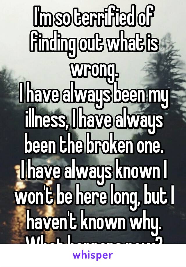 I'm so terrified of finding out what is wrong.
I have always been my illness, I have always been the broken one.
I have always known I won't be here long, but I haven't known why.
What happens now?