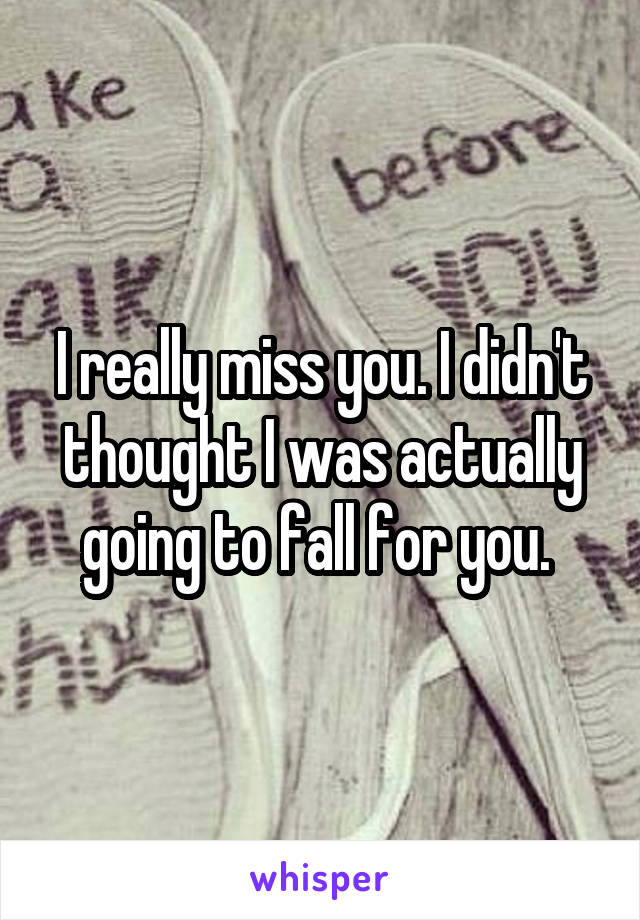 I really miss you. I didn't thought I was actually going to fall for you. 