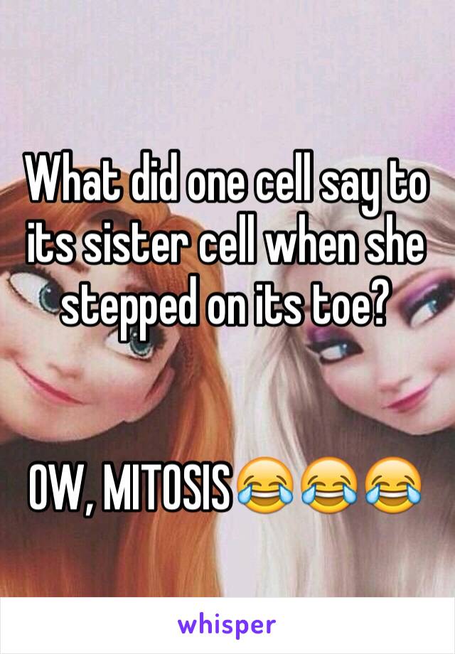 What did one cell say to its sister cell when she stepped on its toe? 


OW, MITOSIS😂😂😂