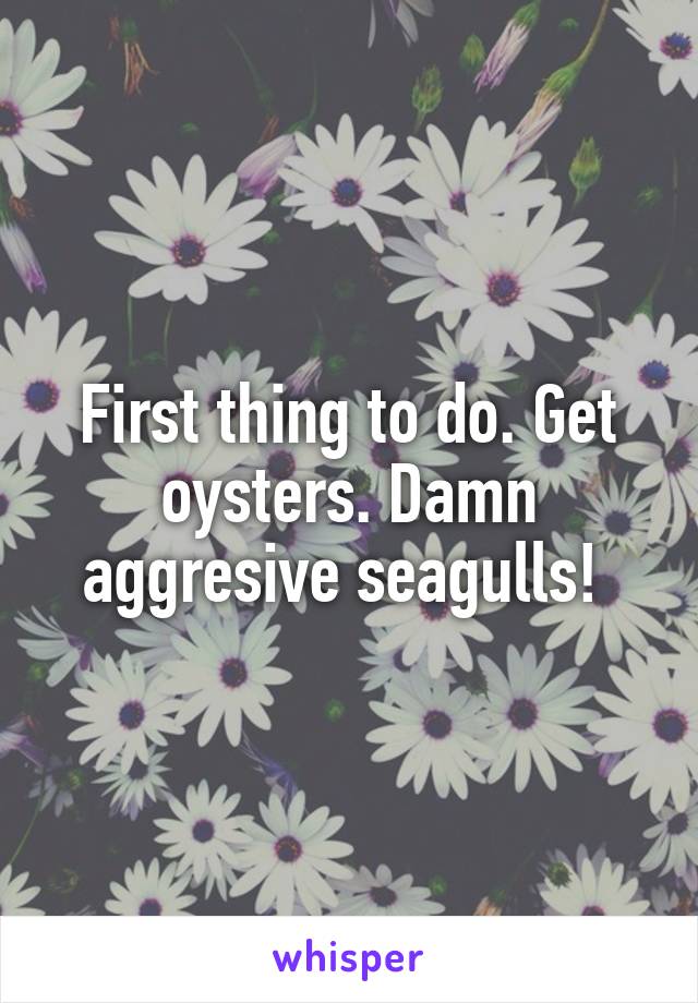 First thing to do. Get oysters. Damn aggresive seagulls! 