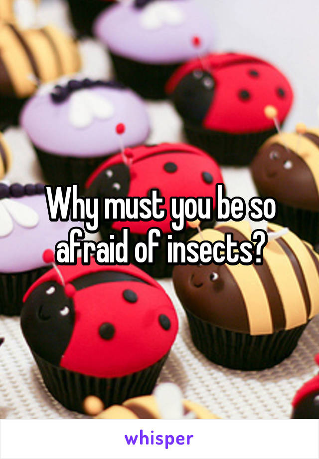 Why must you be so afraid of insects?