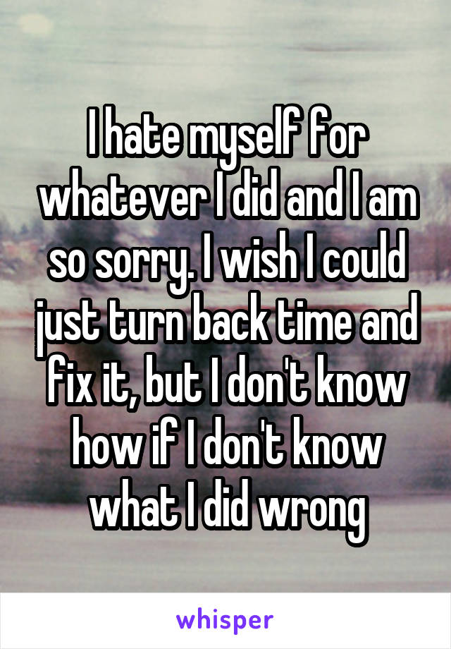 I hate myself for whatever I did and I am so sorry. I wish I could just turn back time and fix it, but I don't know how if I don't know what I did wrong