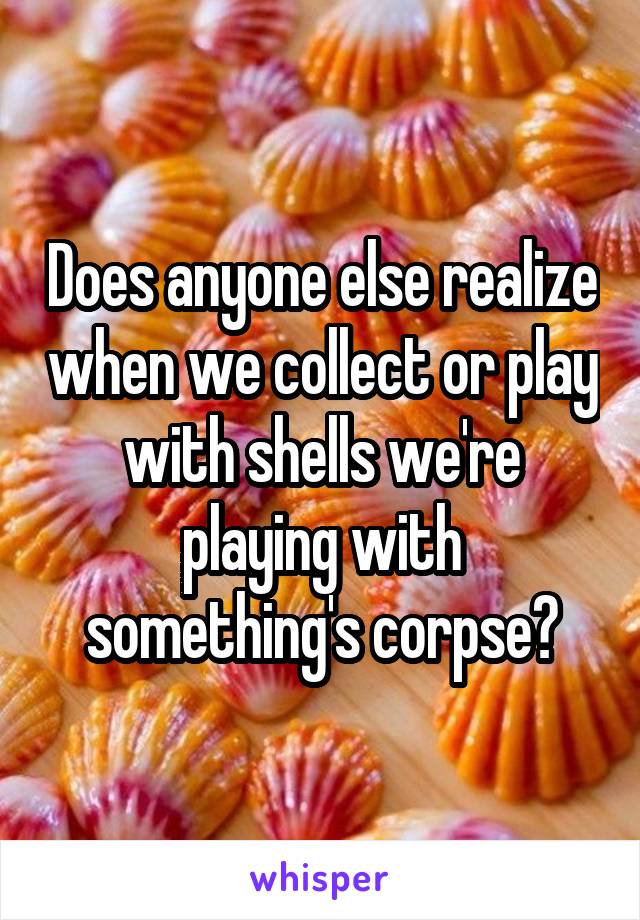 Does anyone else realize when we collect or play with shells we're playing with something's corpse?