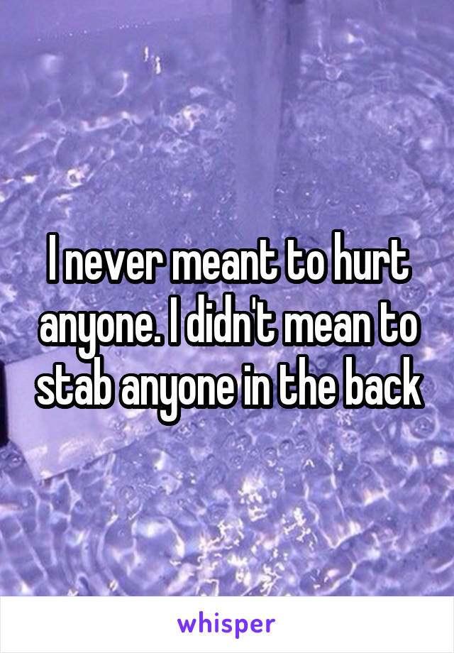 I never meant to hurt anyone. I didn't mean to stab anyone in the back