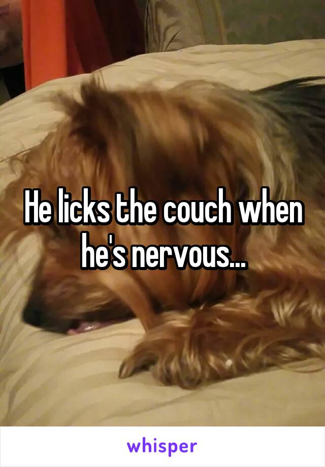 He licks the couch when he's nervous...