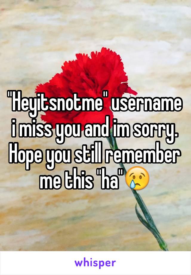 "Heyitsnotme" username i miss you and im sorry. Hope you still remember me this "ha"😢