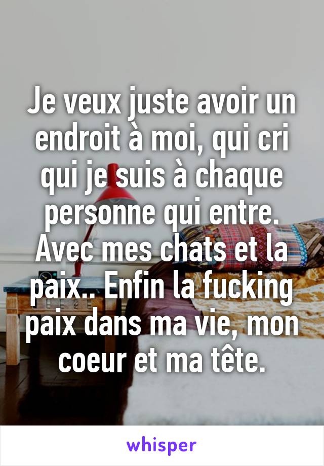 Je veux juste avoir un endroit à moi, qui cri qui je suis à chaque personne qui entre. Avec mes chats et la paix.. Enfin la fucking paix dans ma vie, mon coeur et ma tête.