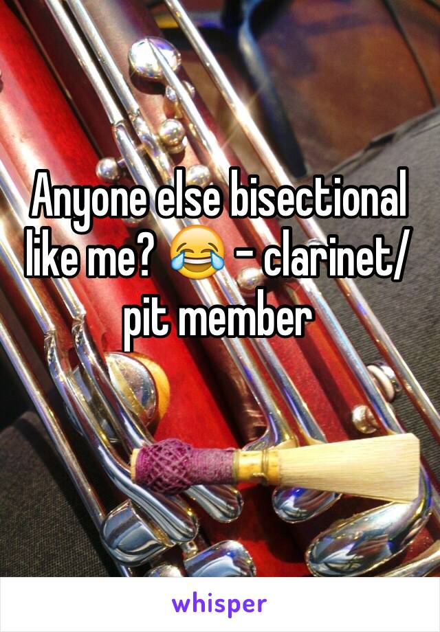 Anyone else bisectional like me? 😂 - clarinet/pit member