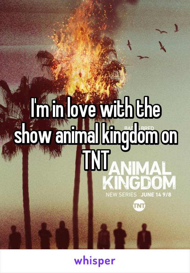 I'm in love with the show animal kingdom on TNT