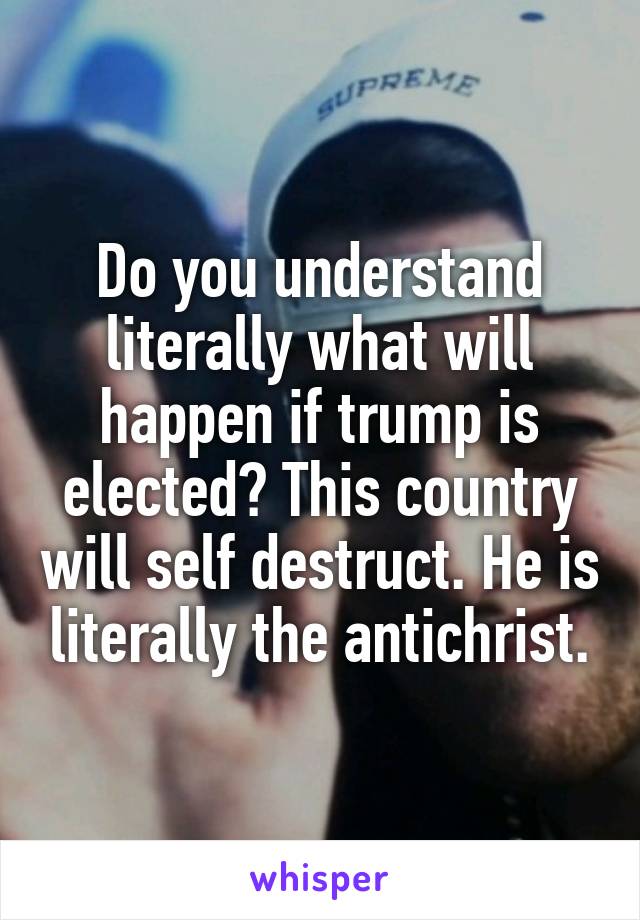 Do you understand literally what will happen if trump is elected? This country will self destruct. He is literally the antichrist.