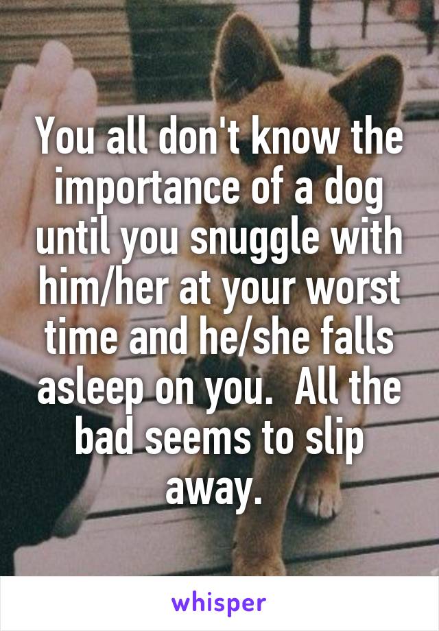 You all don't know the importance of a dog until you snuggle with him/her at your worst time and he/she falls asleep on you.  All the bad seems to slip away. 