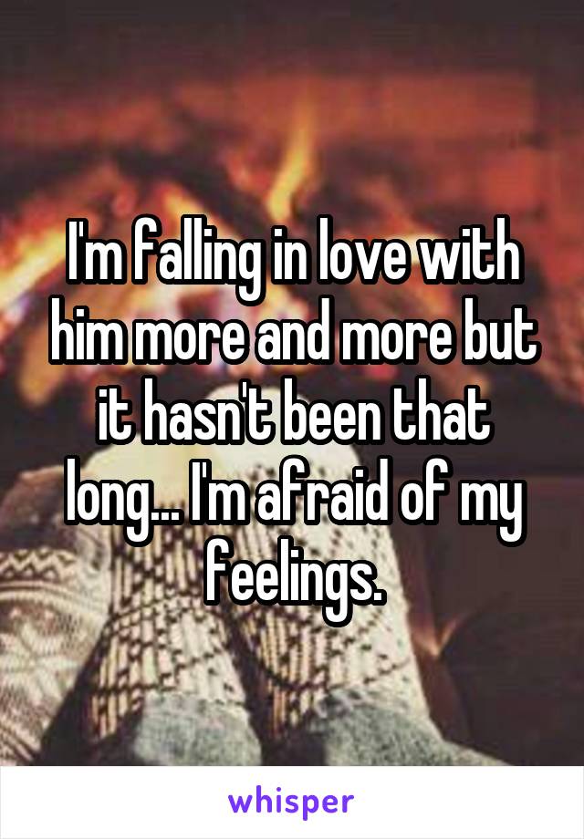 I'm falling in love with him more and more but it hasn't been that long... I'm afraid of my feelings.