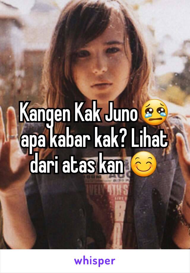 Kangen Kak Juno😢 apa kabar kak? Lihat dari atas kan 😊