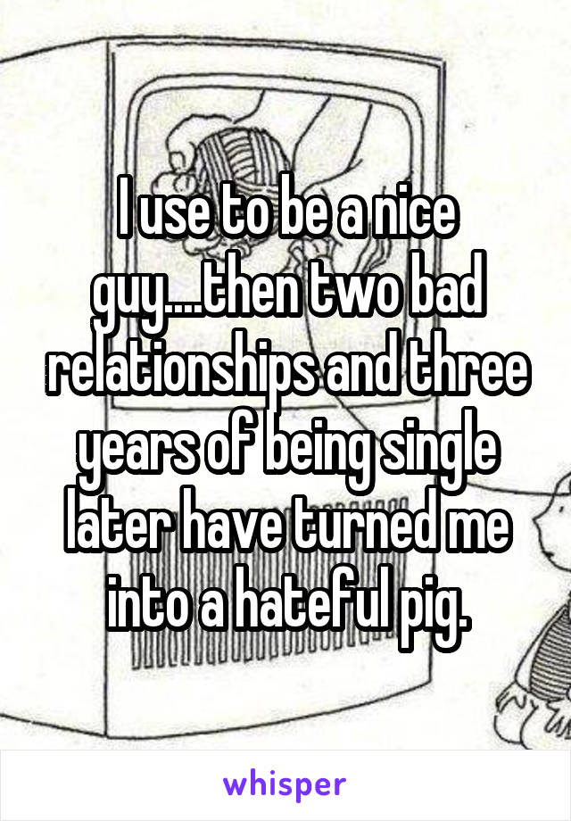 I use to be a nice guy....then two bad relationships and three years of being single later have turned me into a hateful pig.