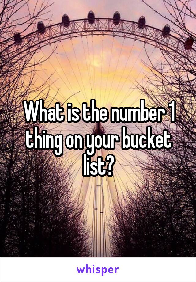 What is the number 1 thing on your bucket list?