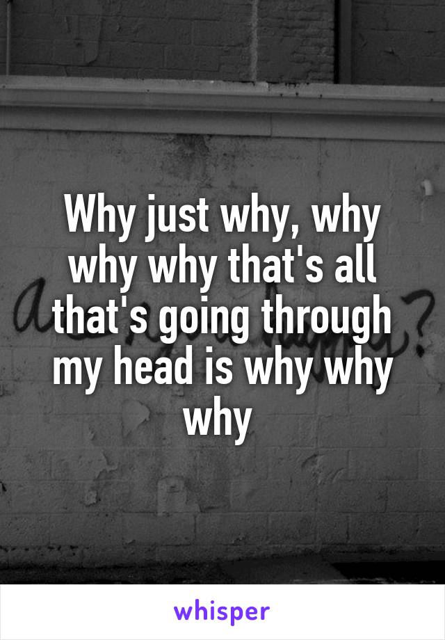 Why just why, why why why that's all that's going through my head is why why why 