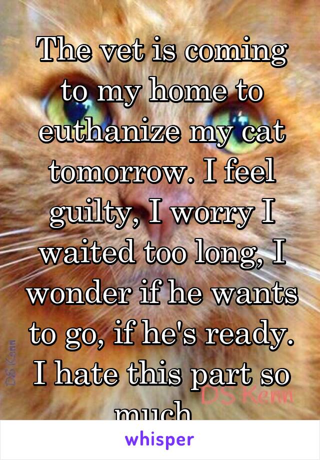 The vet is coming to my home to euthanize my cat tomorrow. I feel guilty, I worry I waited too long, I wonder if he wants to go, if he's ready. I hate this part so much. 