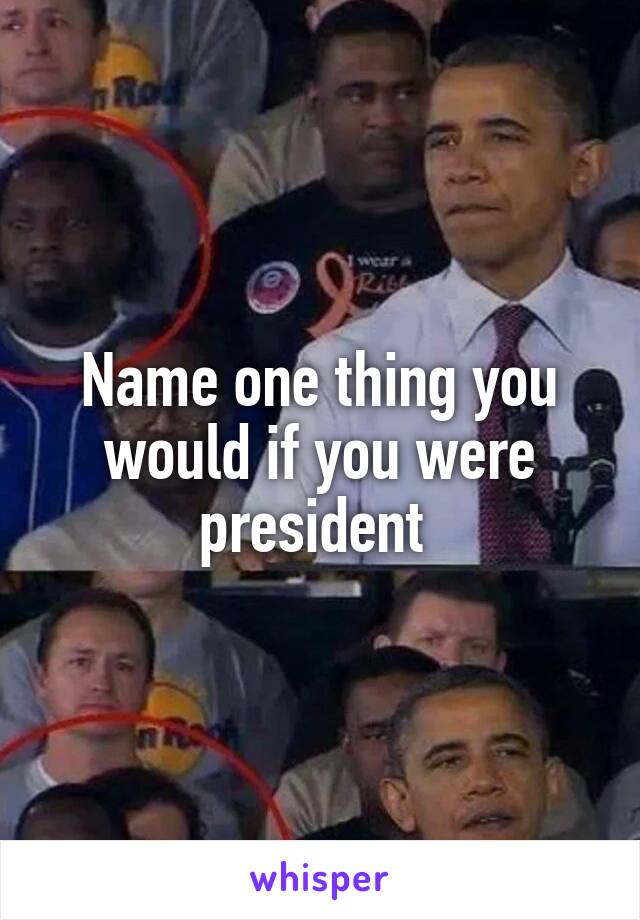 Name one thing you would if you were president 