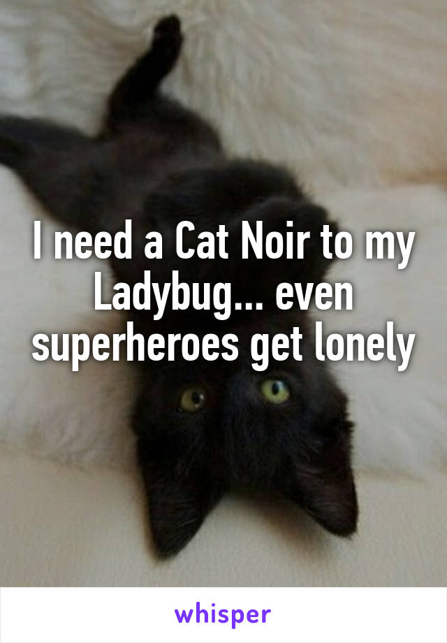 I need a Cat Noir to my Ladybug... even superheroes get lonely 