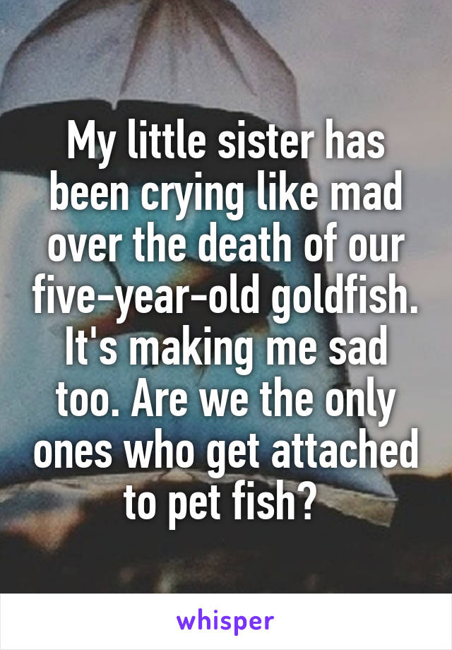 My little sister has been crying like mad over the death of our five-year-old goldfish. It's making me sad too. Are we the only ones who get attached to pet fish? 