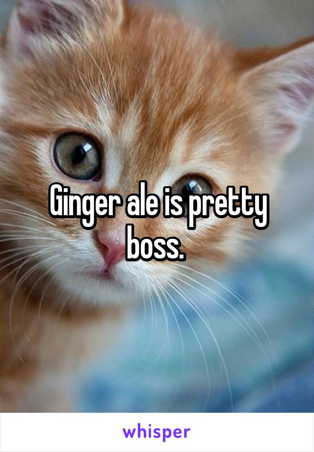 Ginger ale is pretty boss. 