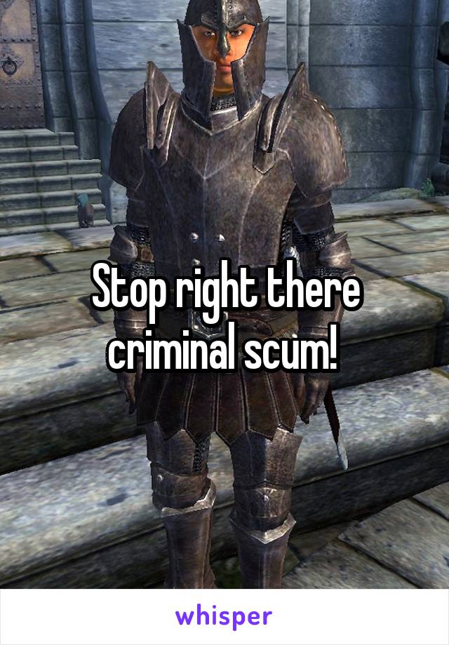 Stop right there criminal scum! 