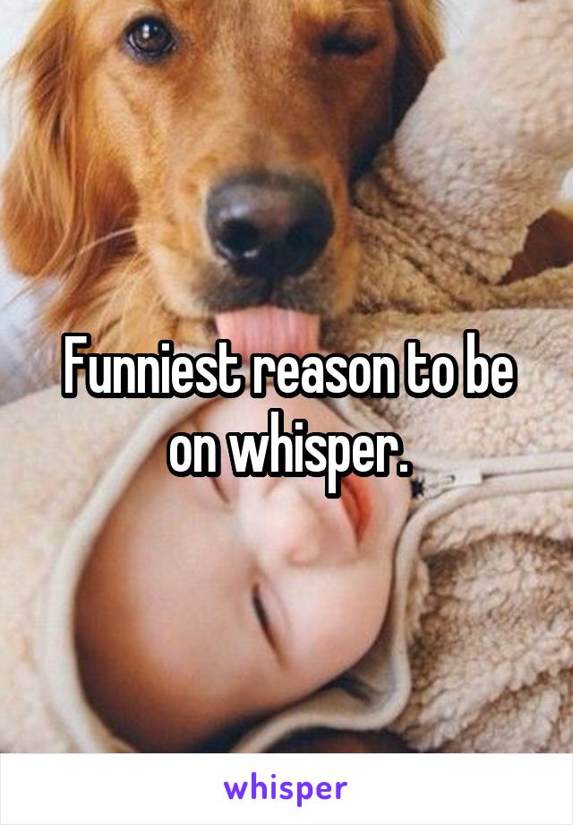 Funniest reason to be on whisper.