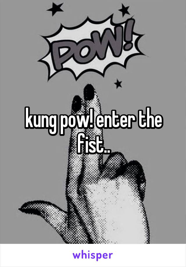 kung pow! enter the fist..