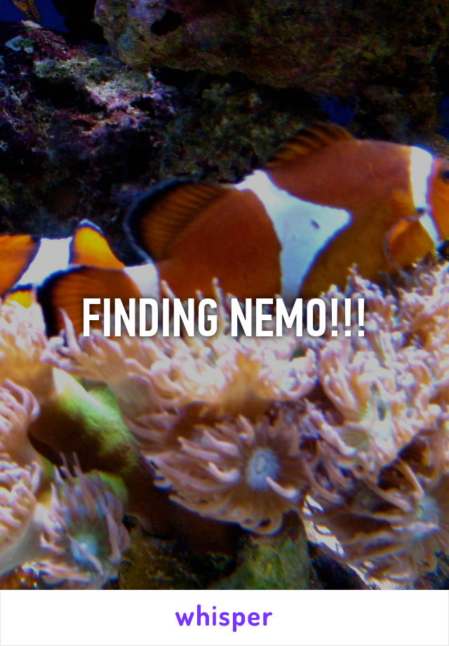 FINDING NEMO!!!