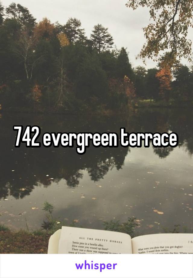 742 evergreen terrace 