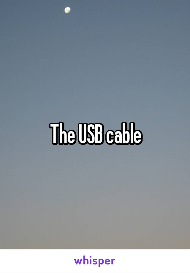The USB cable