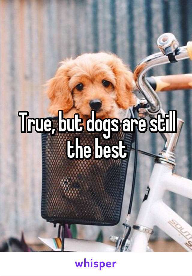 True, but dogs are still the best