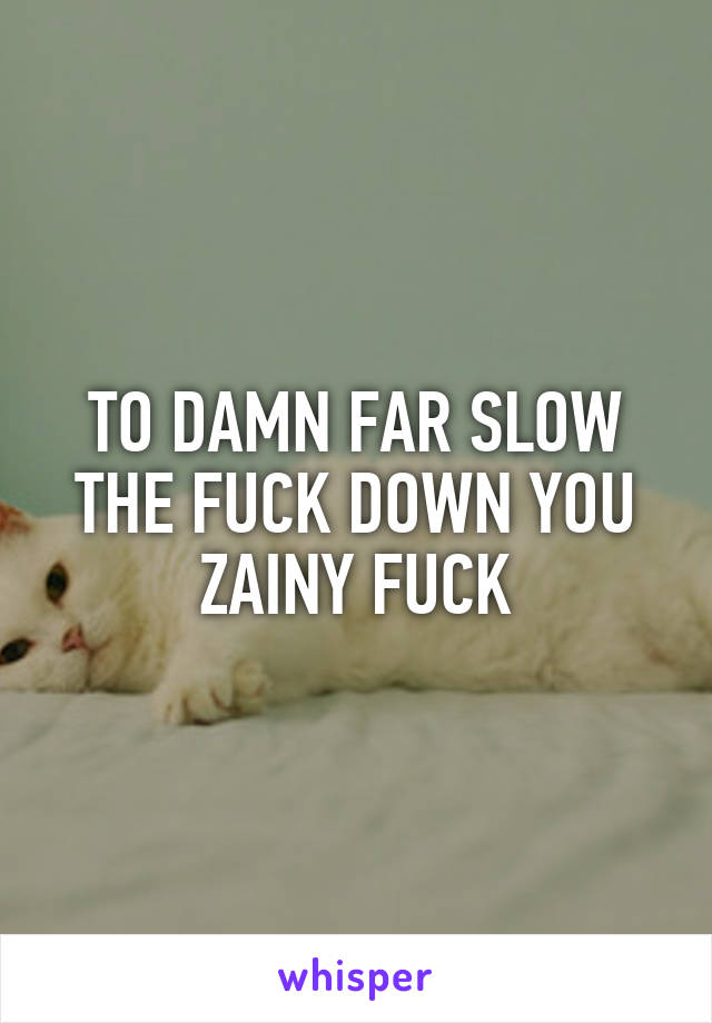 TO DAMN FAR SLOW THE FUCK DOWN YOU ZAINY FUCK